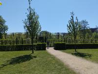 Zámecká zahrada Rosenborg