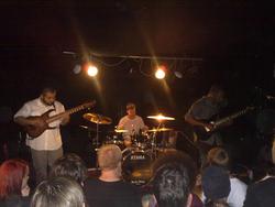 Animals As Leaders live