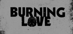 Burning Love logo