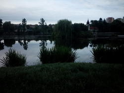 Hamerský rybník