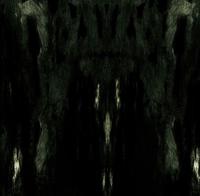 IMPETUOUS RITUAL - Unholy Congregation of Hypocritical Ambivalence