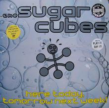 THE SUGARCUBES - Here Today, Tomorrow, Next Week!